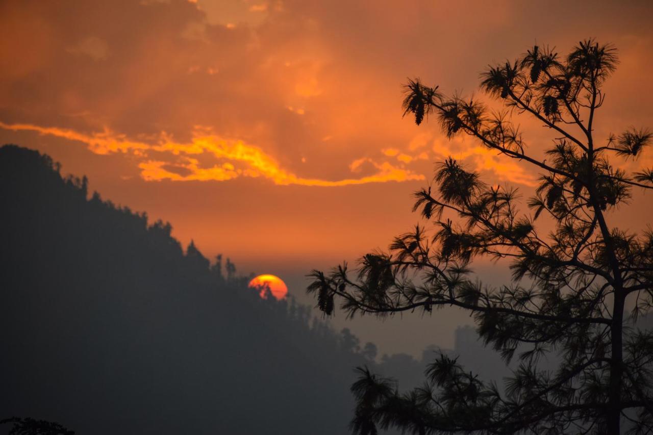 Aachman Nature Valley Resort, Mashobra Shimla Bagian luar foto